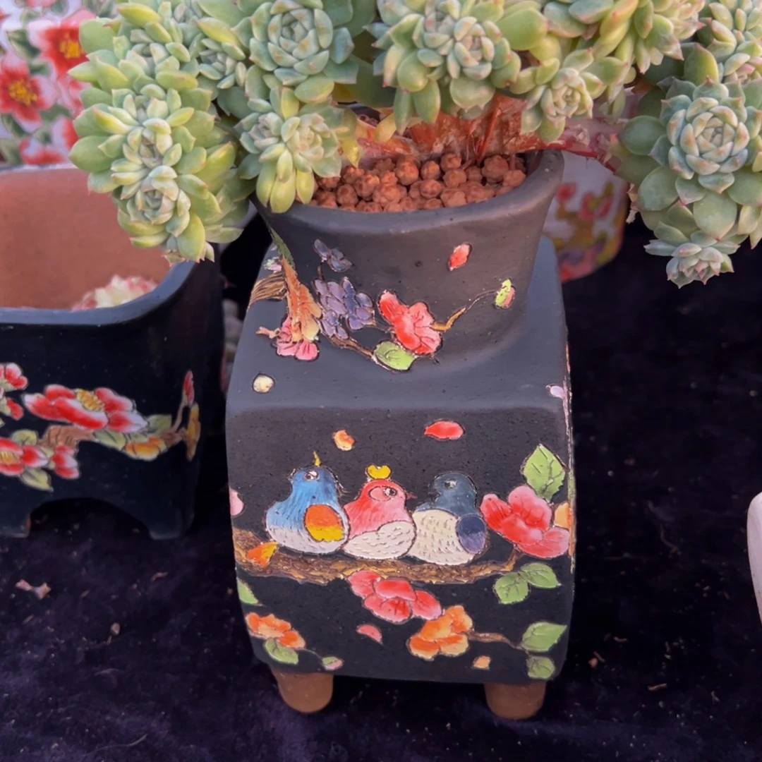 c***.天天开心天天开心花盆