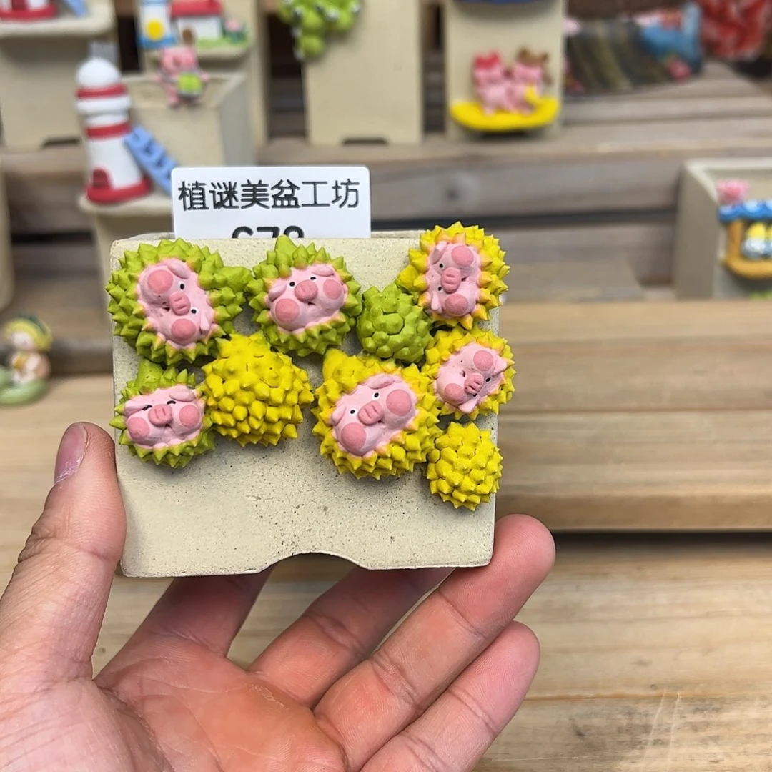 红陶小****肉673可爱猪猪盆