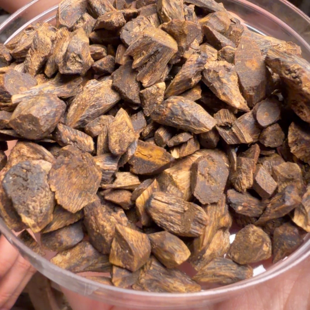 幸***星沉香碎屑沉香树丁碎料100克
