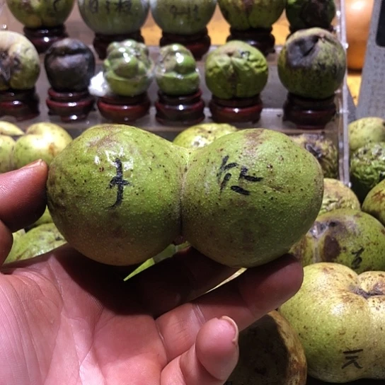 弈***星吊坠桃核核桃核桃