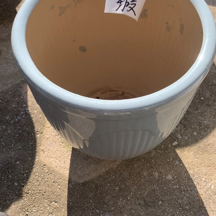 花盆里的小猫咪们都是可爱又可爱又