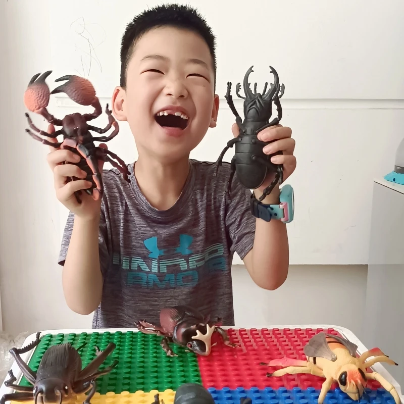 大号儿童玩具仿真动物昆虫模型摆件蟋蟀瓢虫蜘蛛蝎子虫子男孩塑胶