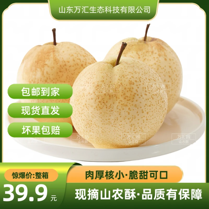 万汇园山农酥梨脆甜多汁新鲜水果应季纯甜无渣果园直发现摘现发