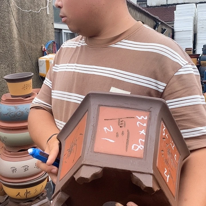 紫砂花盆盆栽植物