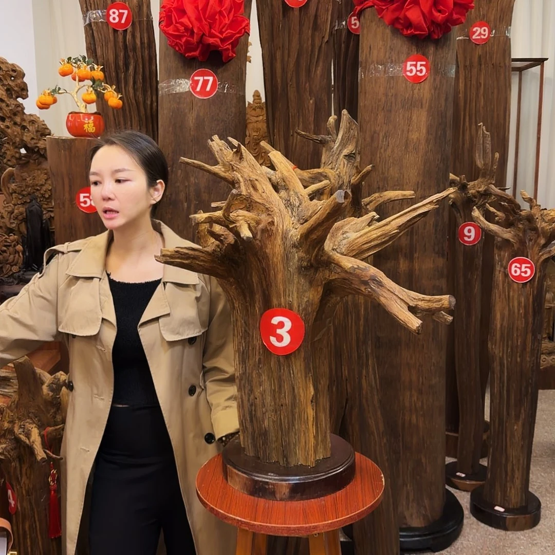 小***河沉香材料沉香原材料