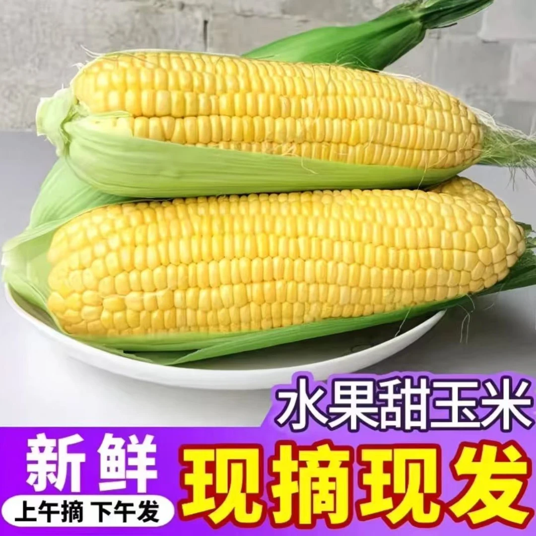 【水果玉米】新鲜云南水果甜玉米可生吃清甜多汁适合蒸煮榨汁产地批