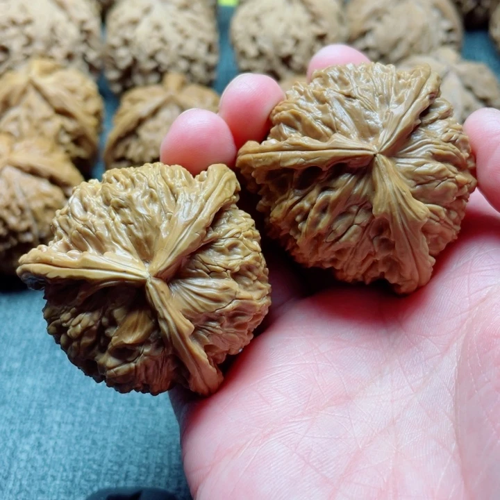 手工三棱白狮子三棱