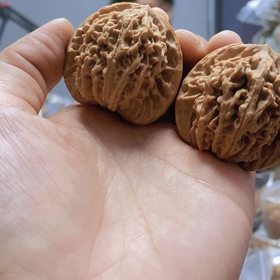 【闪购商品】把件文玩核桃43.5老树蟠龙纹