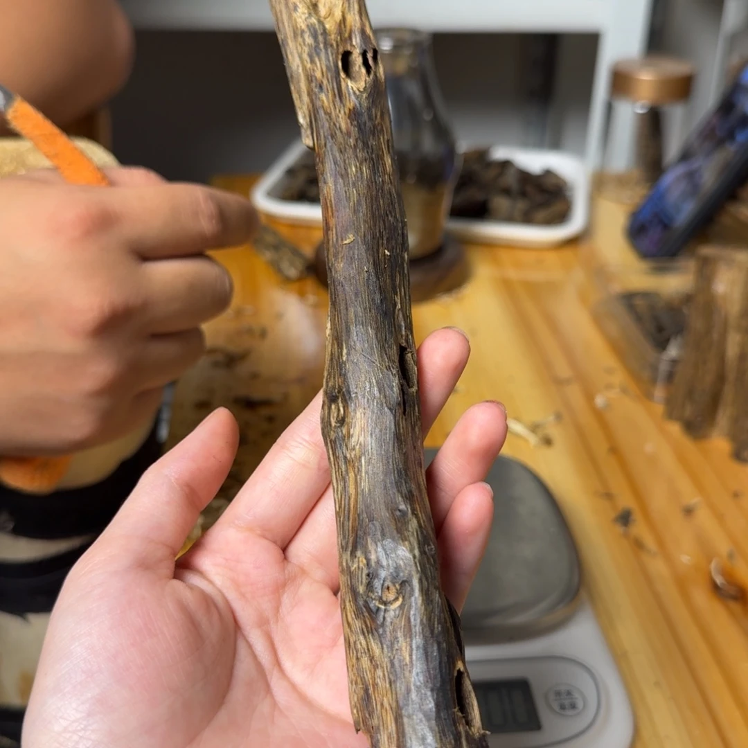 沉香红奇虫漏香39克