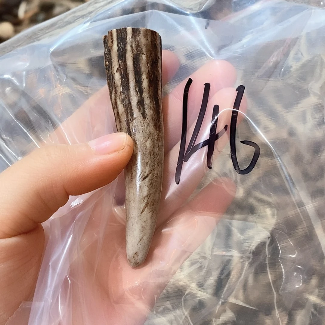 鹿角鹿角鹿角鹿角