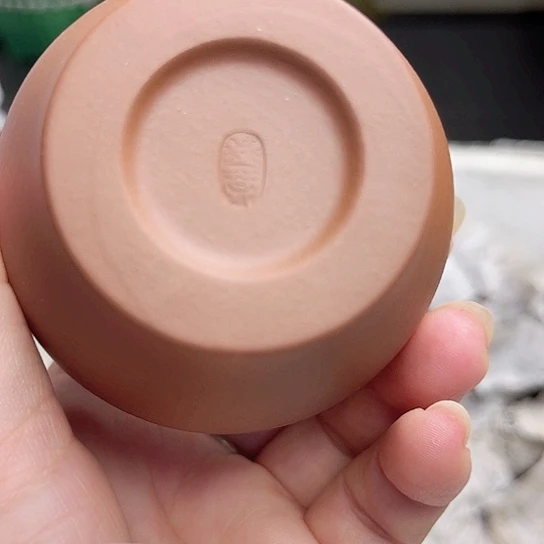 茶杯紫砂今天不知道为什么