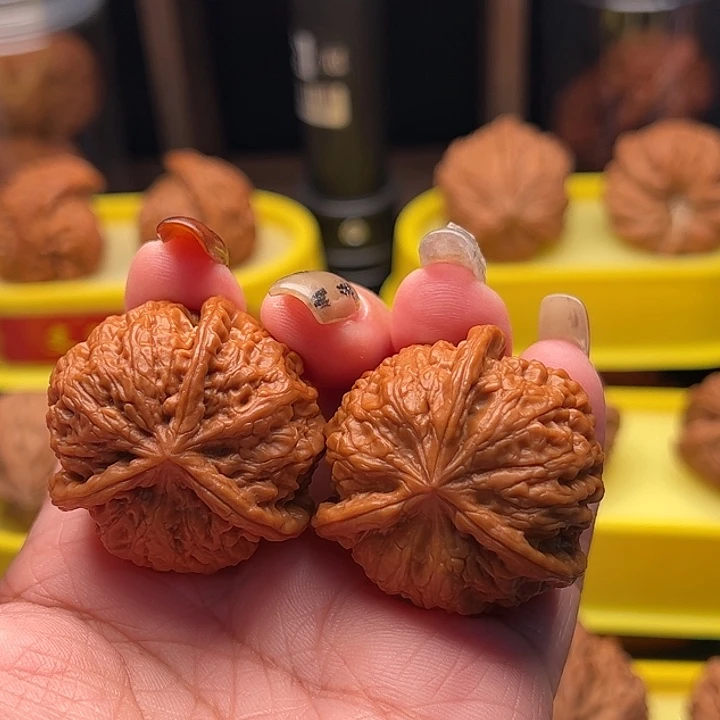 明***月文玩核桃吊坠血麒麟三棱 全品