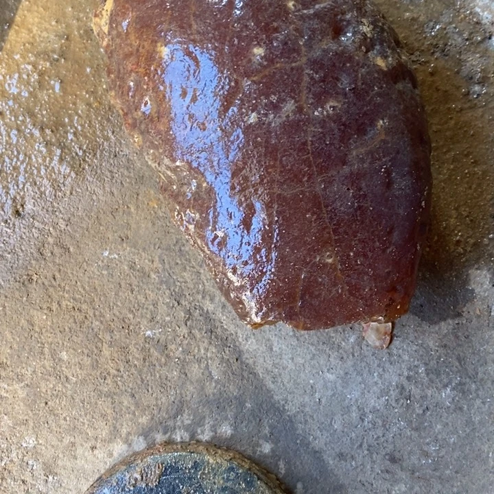 定制玛瑙仙定制玛瑙