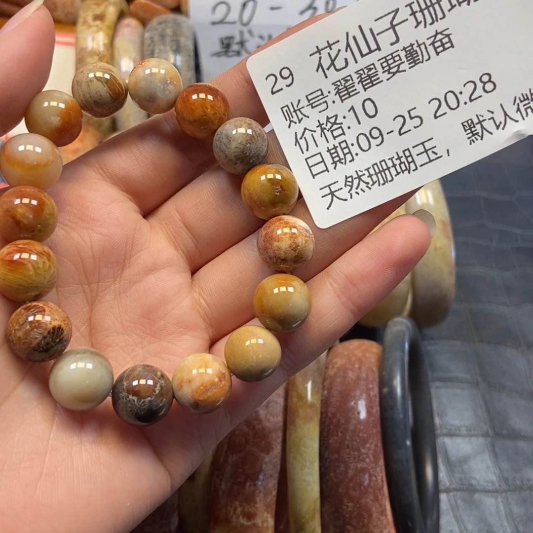 翟***奋硅化珊瑚（珊瑚玉）未镶嵌珠宝半成品29