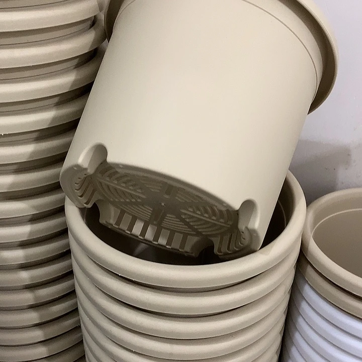 四季口21高18米黄10个无托