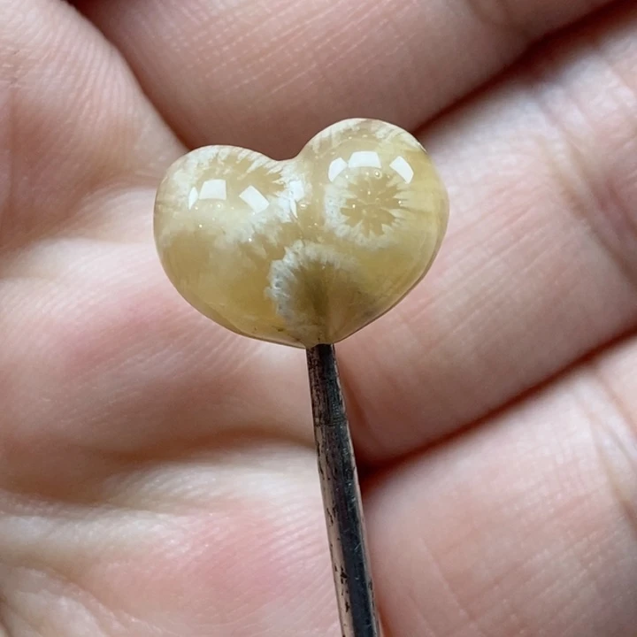 颈饰未镶嵌硅化珊瑚（珊瑚玉）小