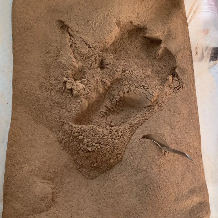 【闪购商品】海南红土粉10克