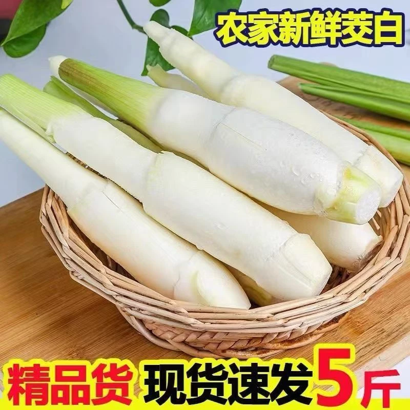 新鲜茭白现摘高笋茭白应当季农家蔬菜水笋茭白