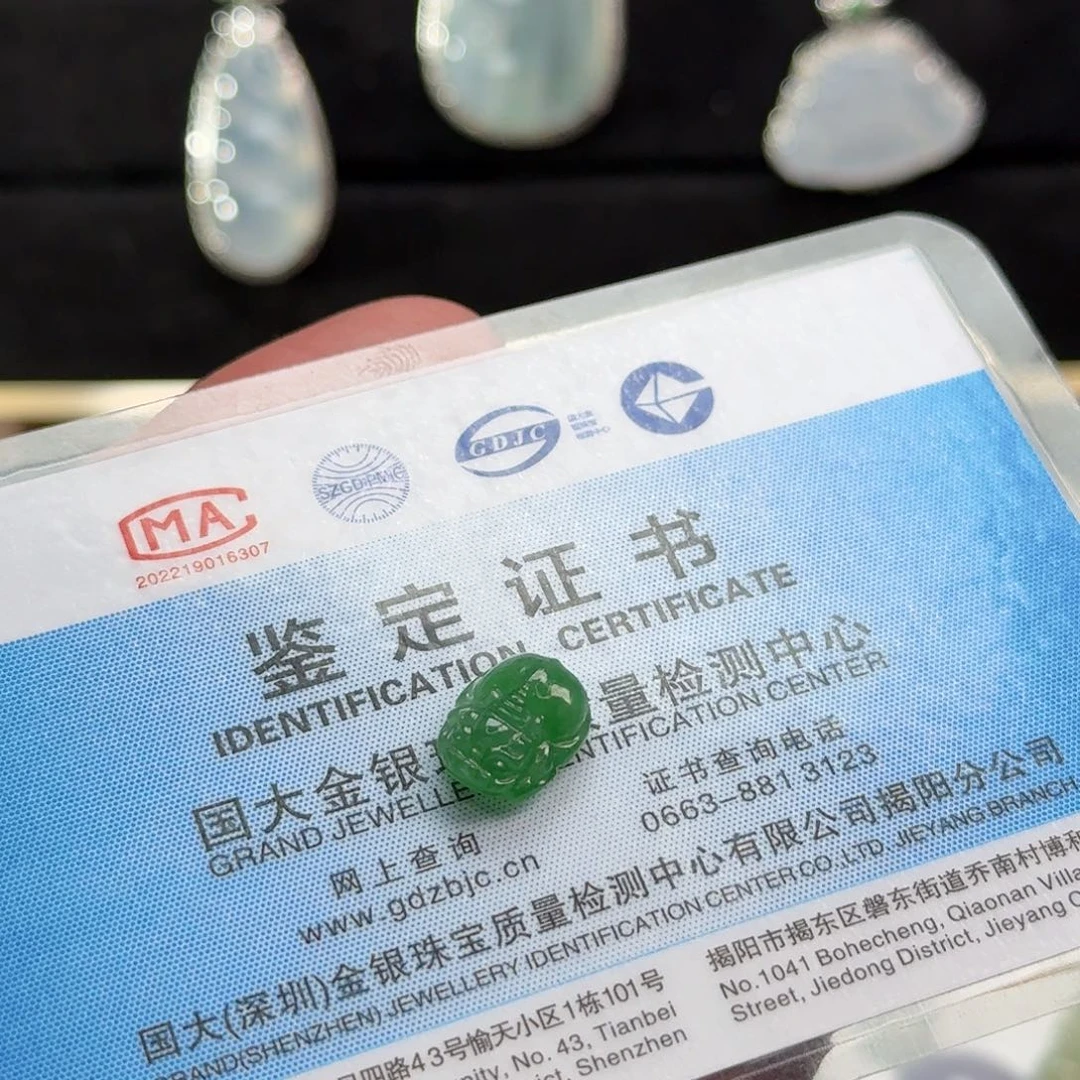翡翠未镶嵌颈饰满绿绿貔貅