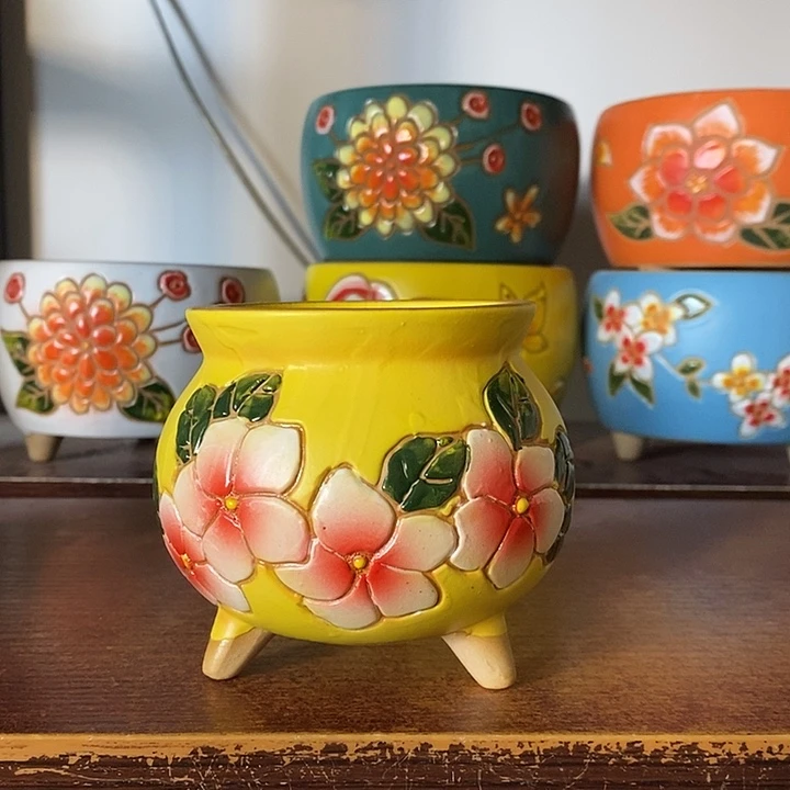 韩式多肉植物花盆