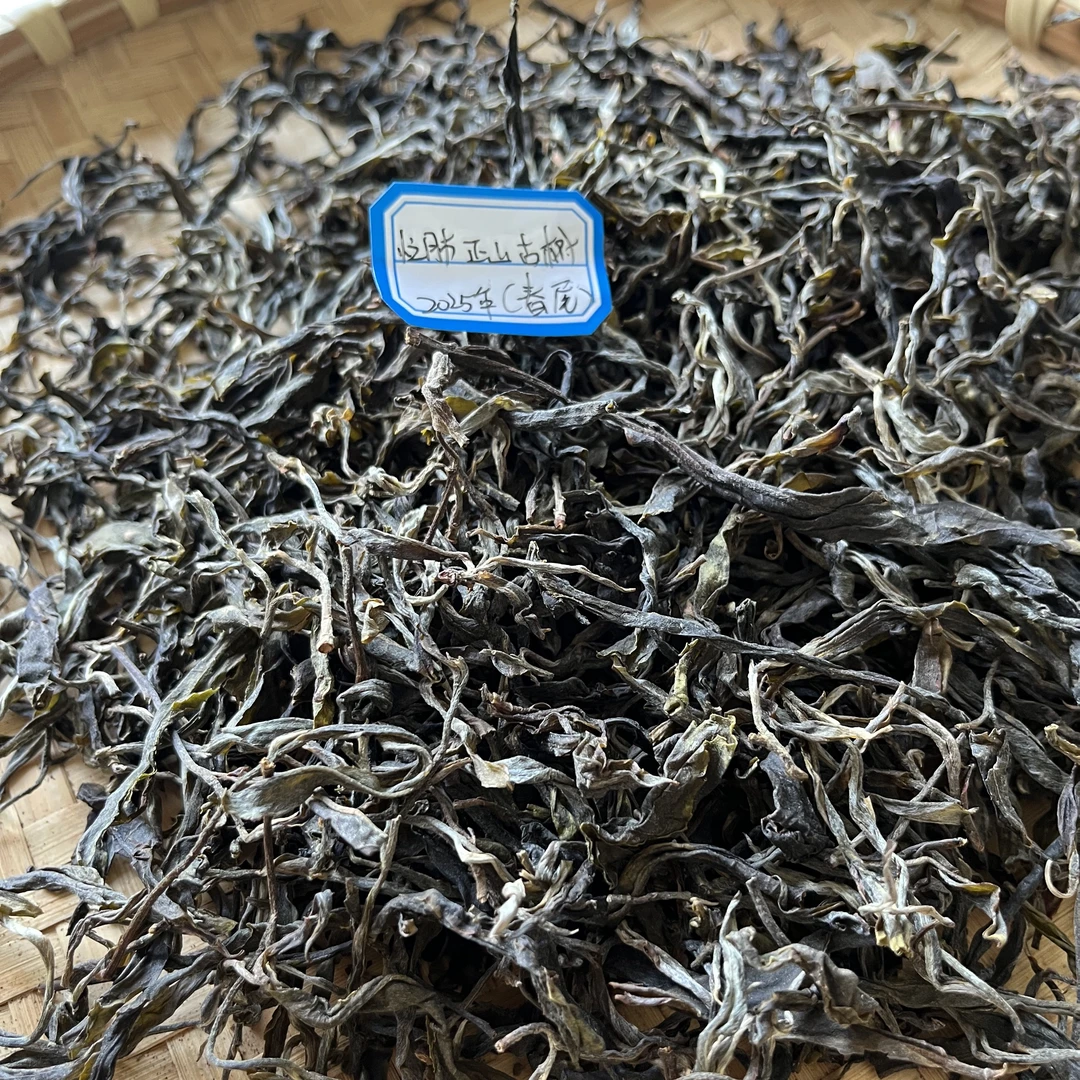 2025年忙肺正山古树春尾普洱生茶散茶甜润细滑/口粮茶