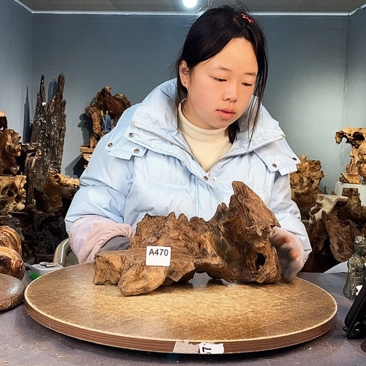 茶盏大*470株木的随行的根艺