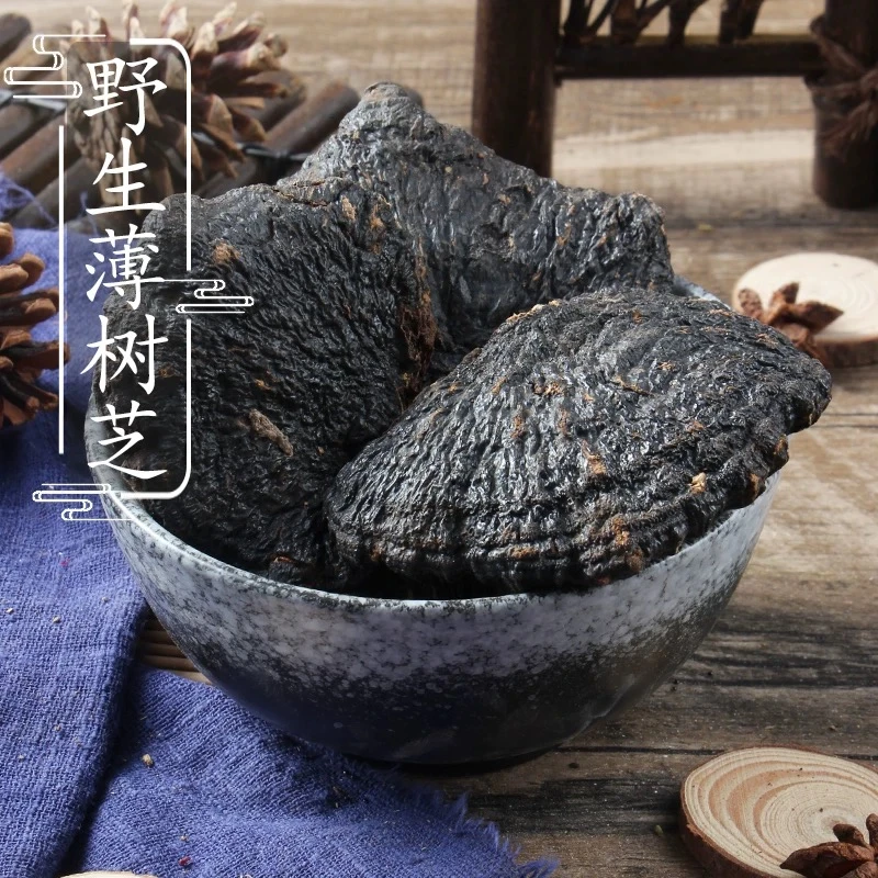 野生薄树灵芝 海南薄树芝 天然新货 泡酒煲汤煮水整支野灵芝