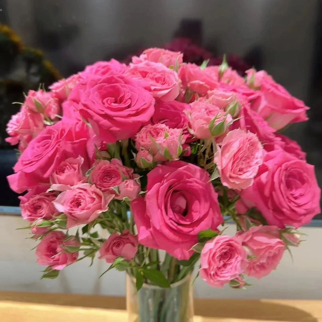 套餐1《佛洛依德20支+苏菲宝贝10支》+冰+保鲜剂+送配玫瑰花草