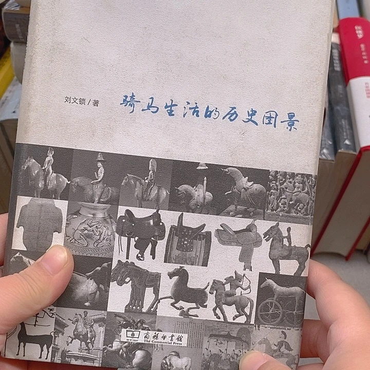 瑕疵  骑马生活的历史图景