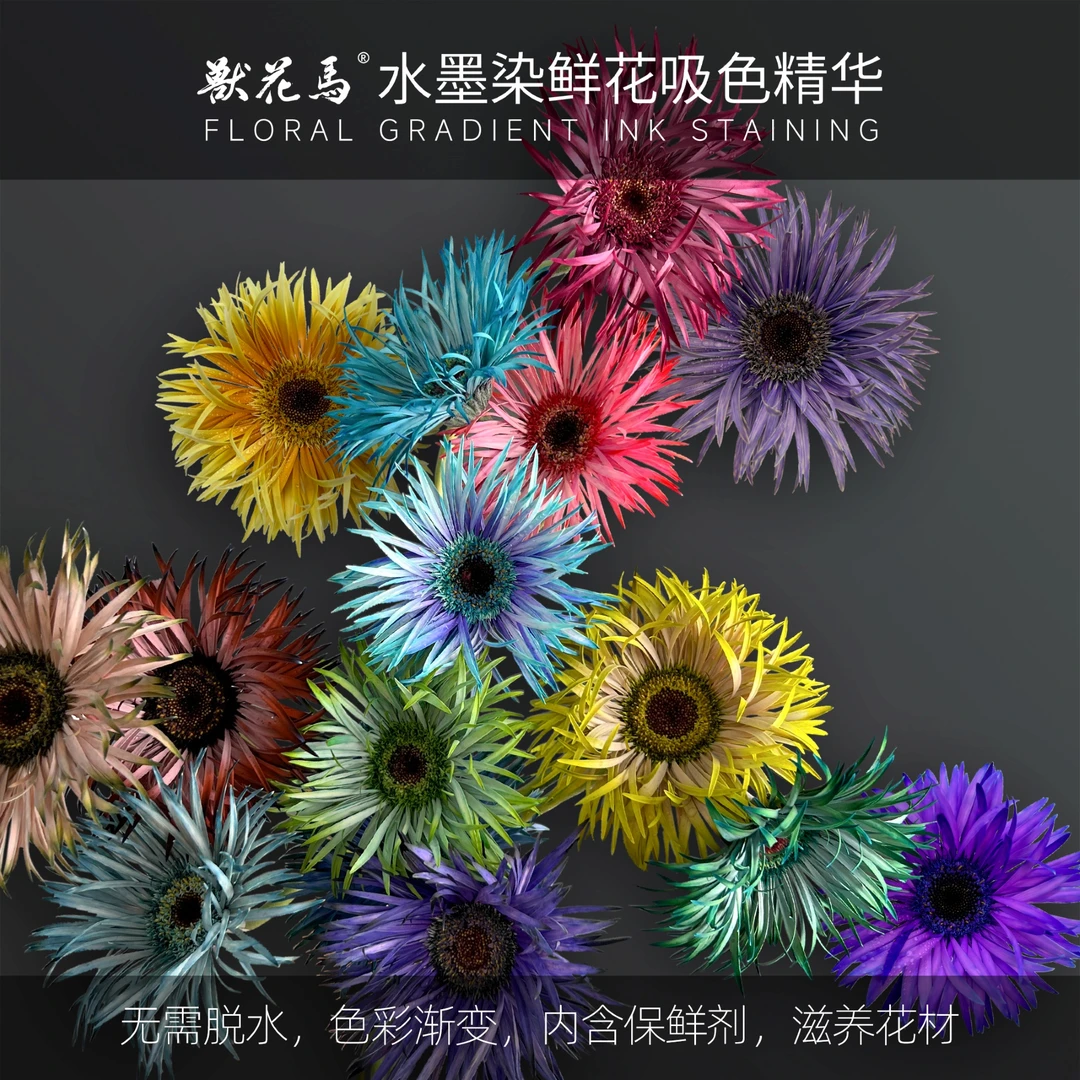 兽花马【水墨染】鲜花吸色精华/鲜花吸色染色剂/渐变养护花材菊花