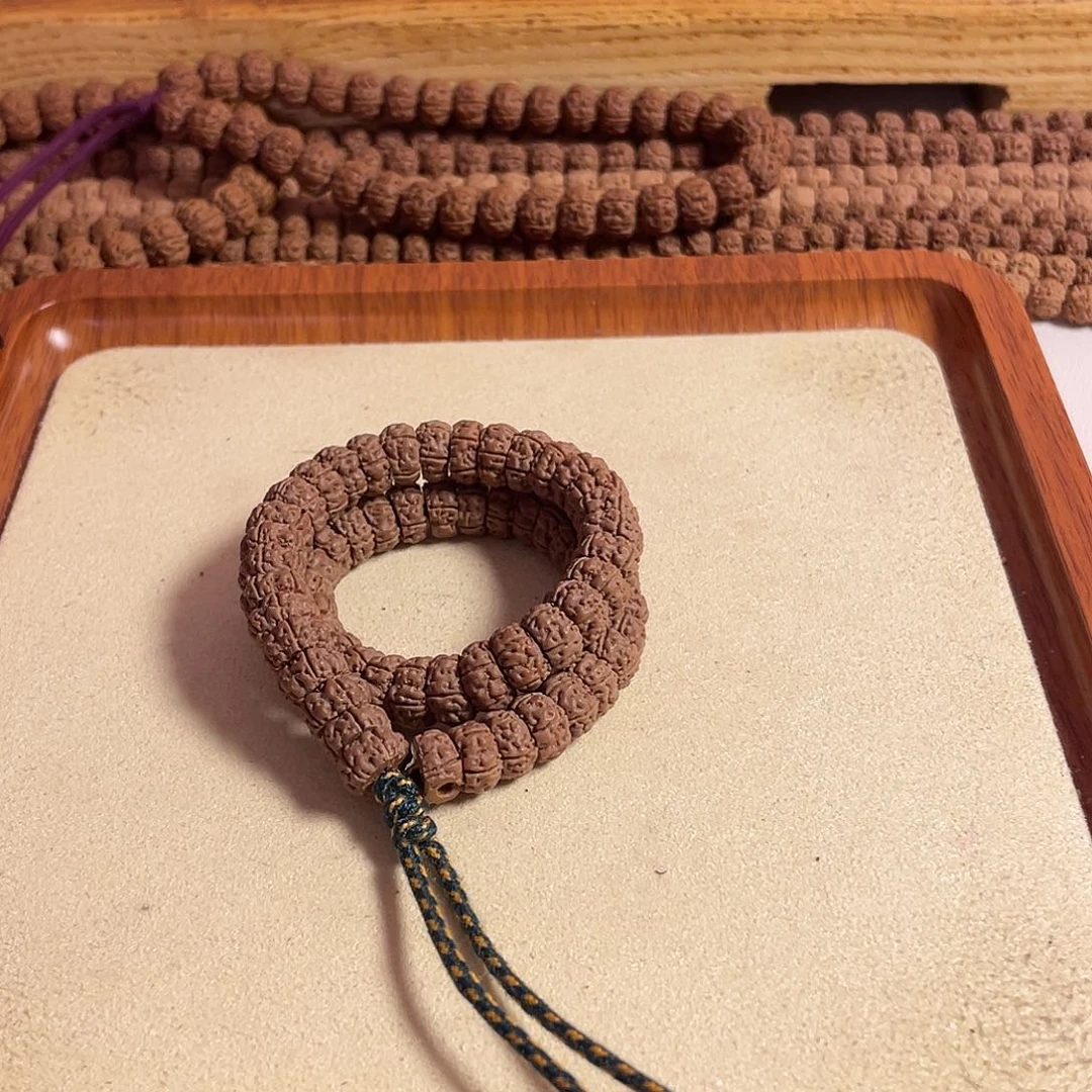 手串金刚菩提老树王大肠