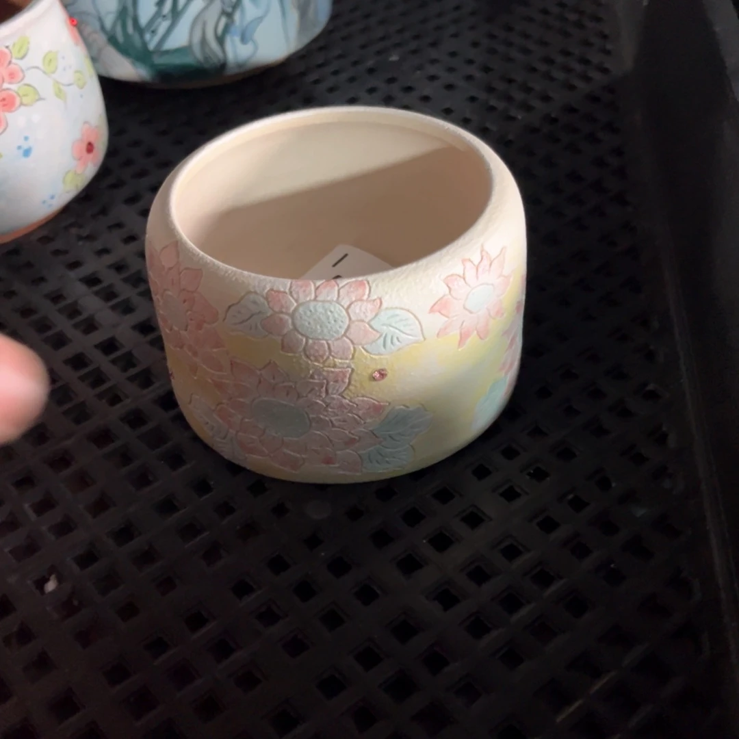 红陶李*媚390花盆1个