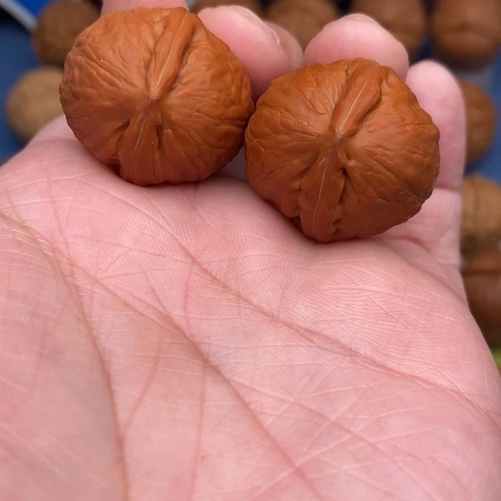 文玩核桃把件…………