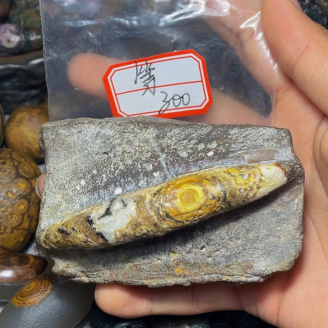 大叶紫檀（黑酸枝木类）等*