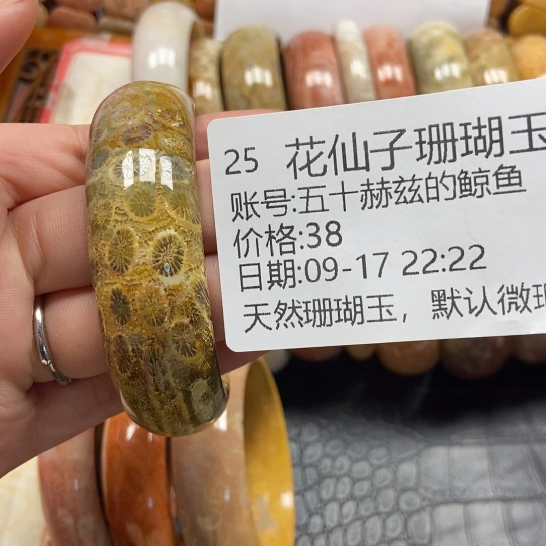 五***鱼未镶嵌硅化珊瑚（珊瑚玉）珠宝半成品25