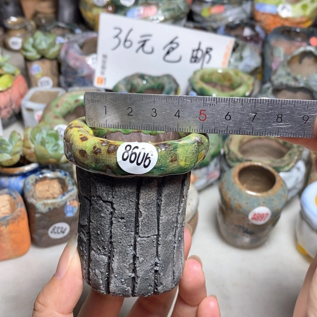 拍3送一个小礼物