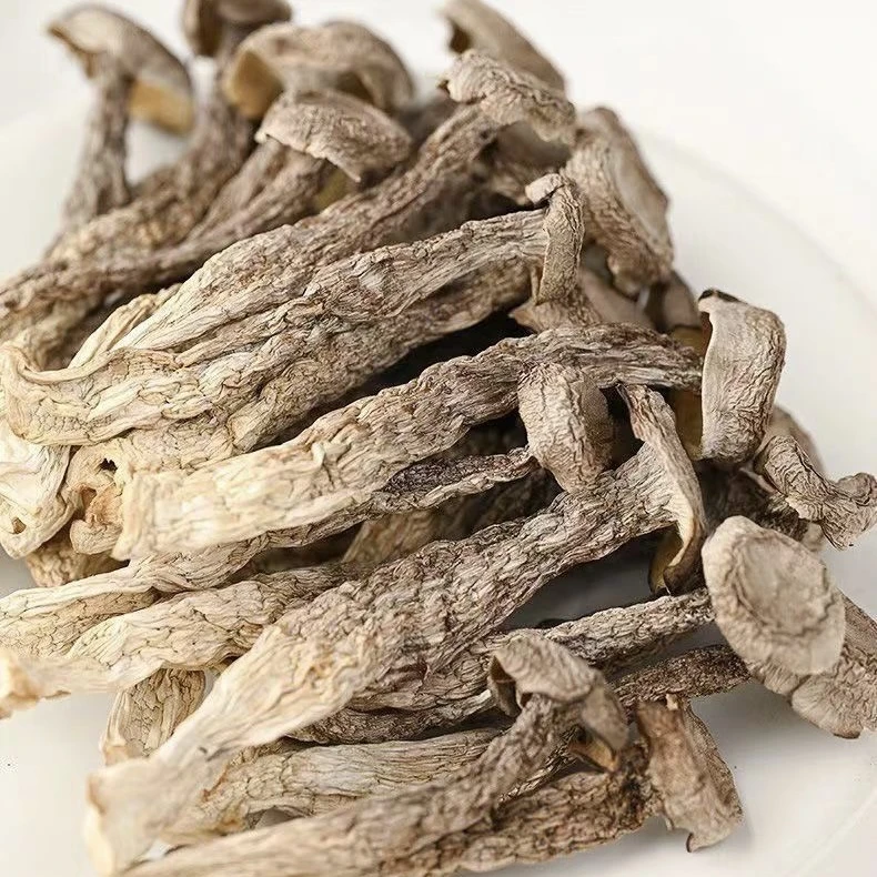 高山特产嫩芽鹿茸菇干货脆脆菇火锅煲汤食材