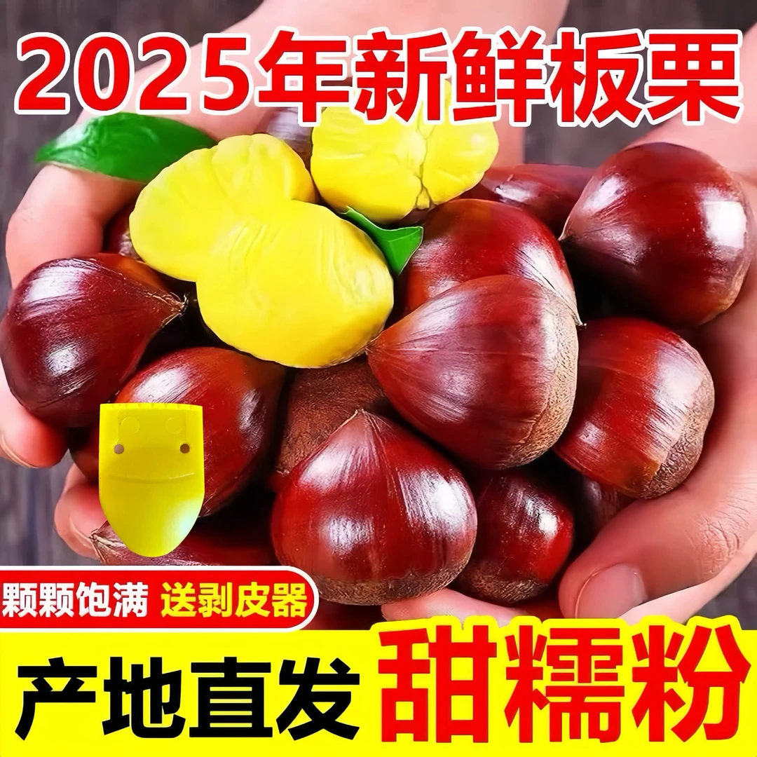 买3 斤送2斤*正宗老树板栗2025年新鲜土品种带栗爪非锥栗难剥皮