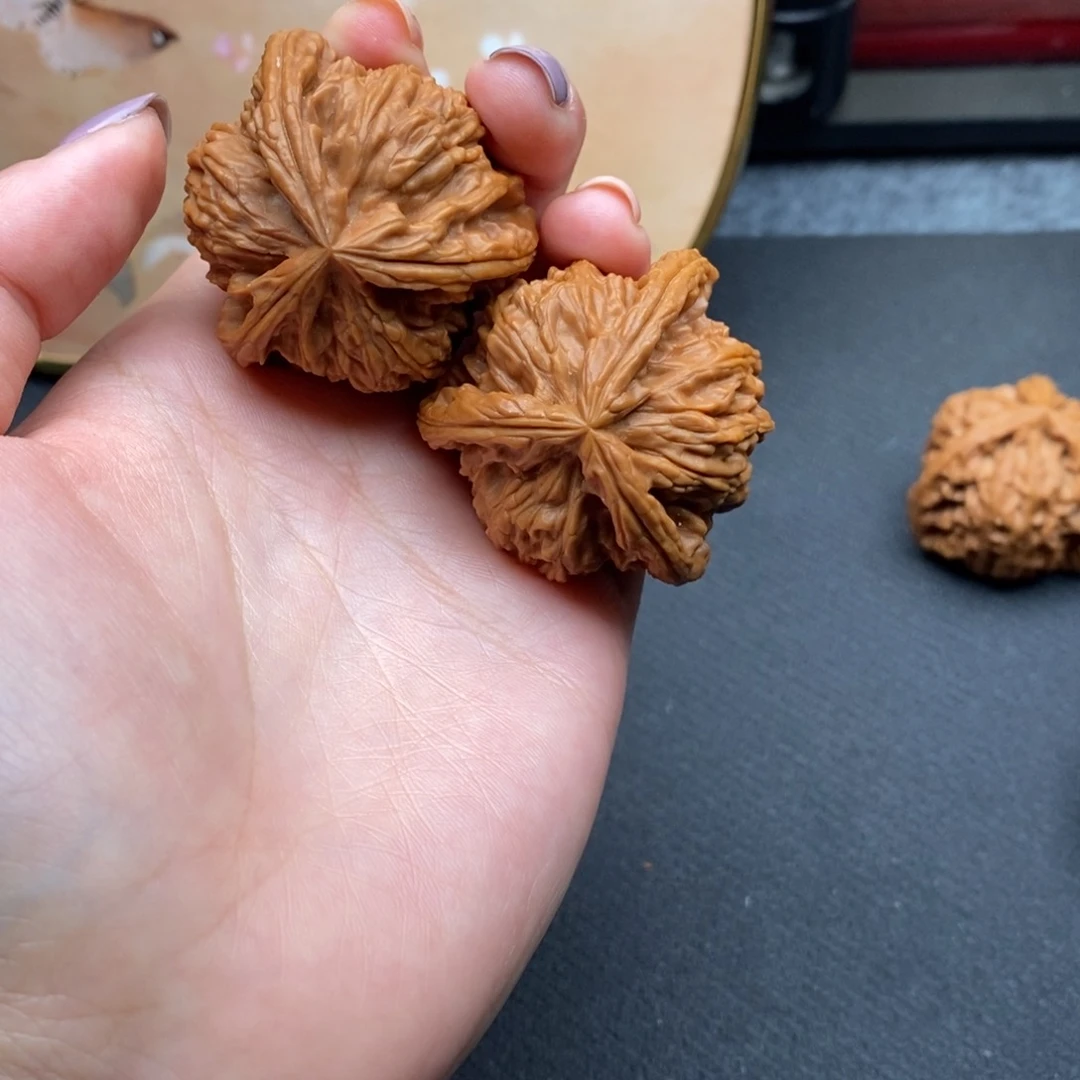 柔****更白狮子1111111111111