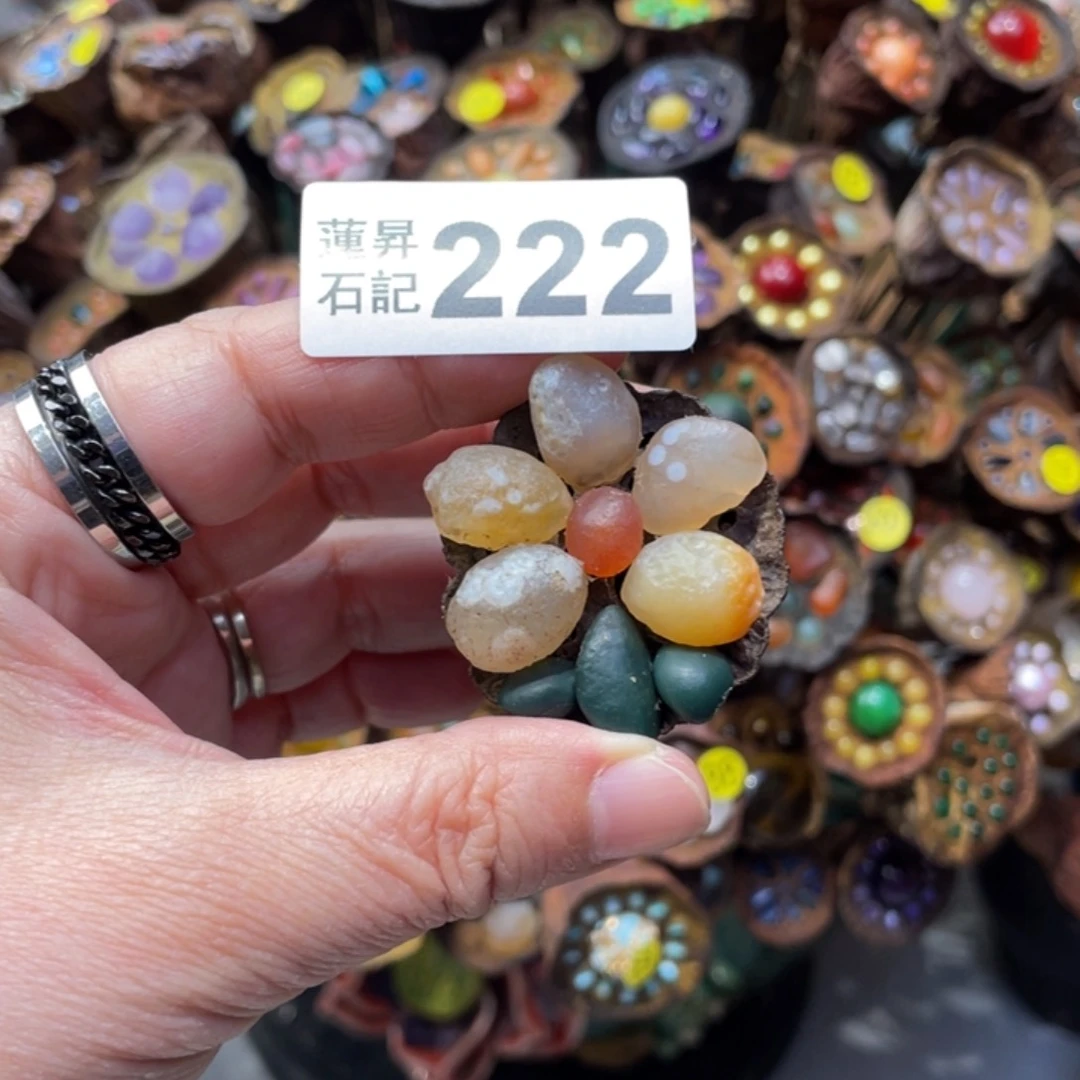 核桃木/黑胡桃（胡桃木）茗**主222