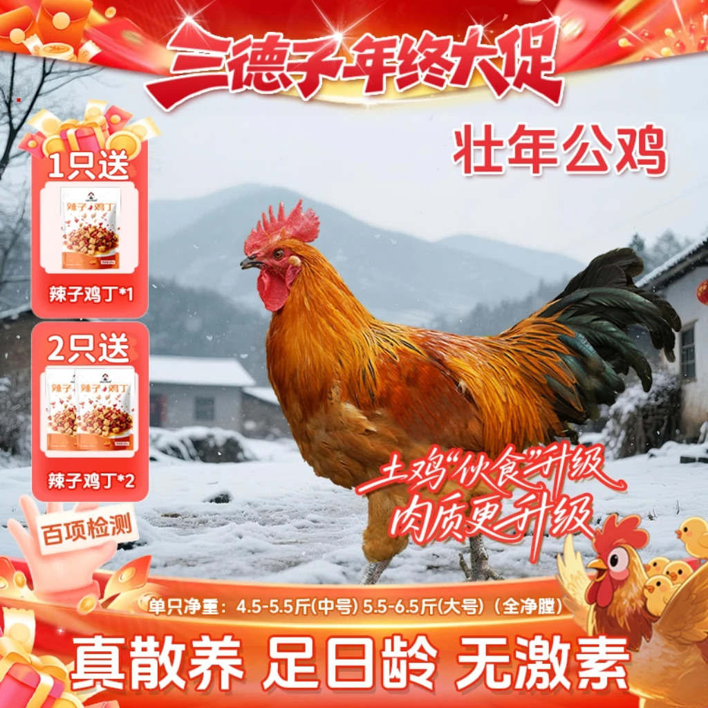 三德子 【壮年公鸡】散养300天大红公鸡生态散养土鸡 包冰率不含冰