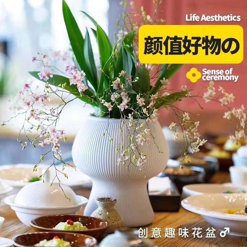 创意蘑菇树脂花盆家用水培绿萝多肉文竹轻奢高级感懒人自吸水新款