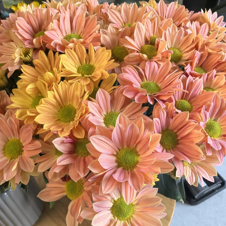 橙色三文鱼（全店任意两单及以上升级顺丰包邮）东北鲜花现采现发