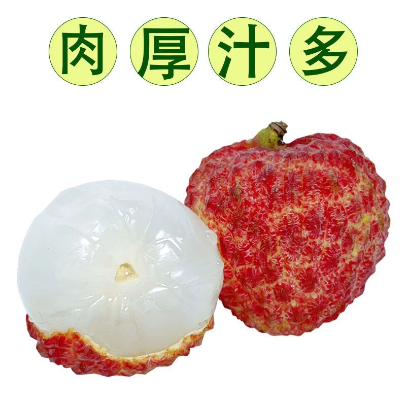 正宗糯米糍荔枝广东糯米糍荔枝现摘水果正宗新鲜荔枝新鲜当季
