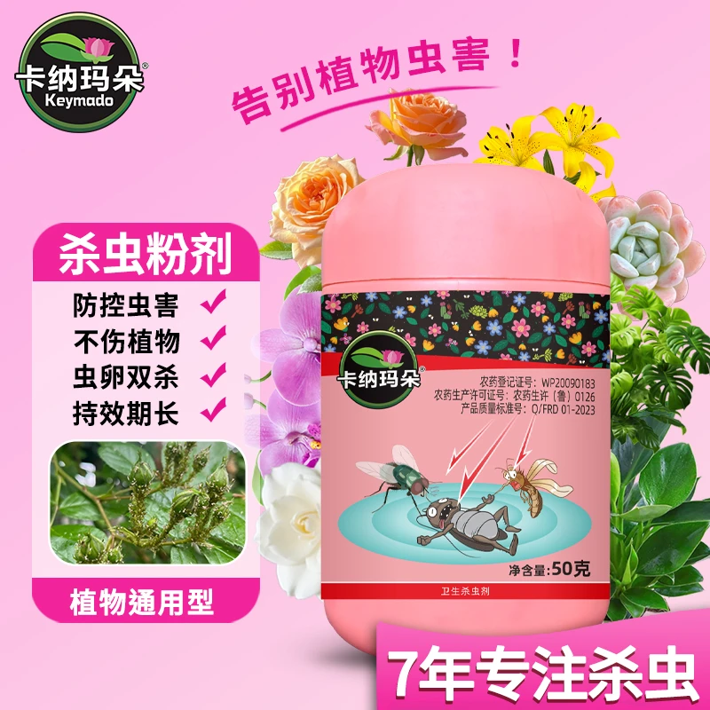 卡纳玛朵【崽多多】花卉多肉促芽爆芽家用园艺养花