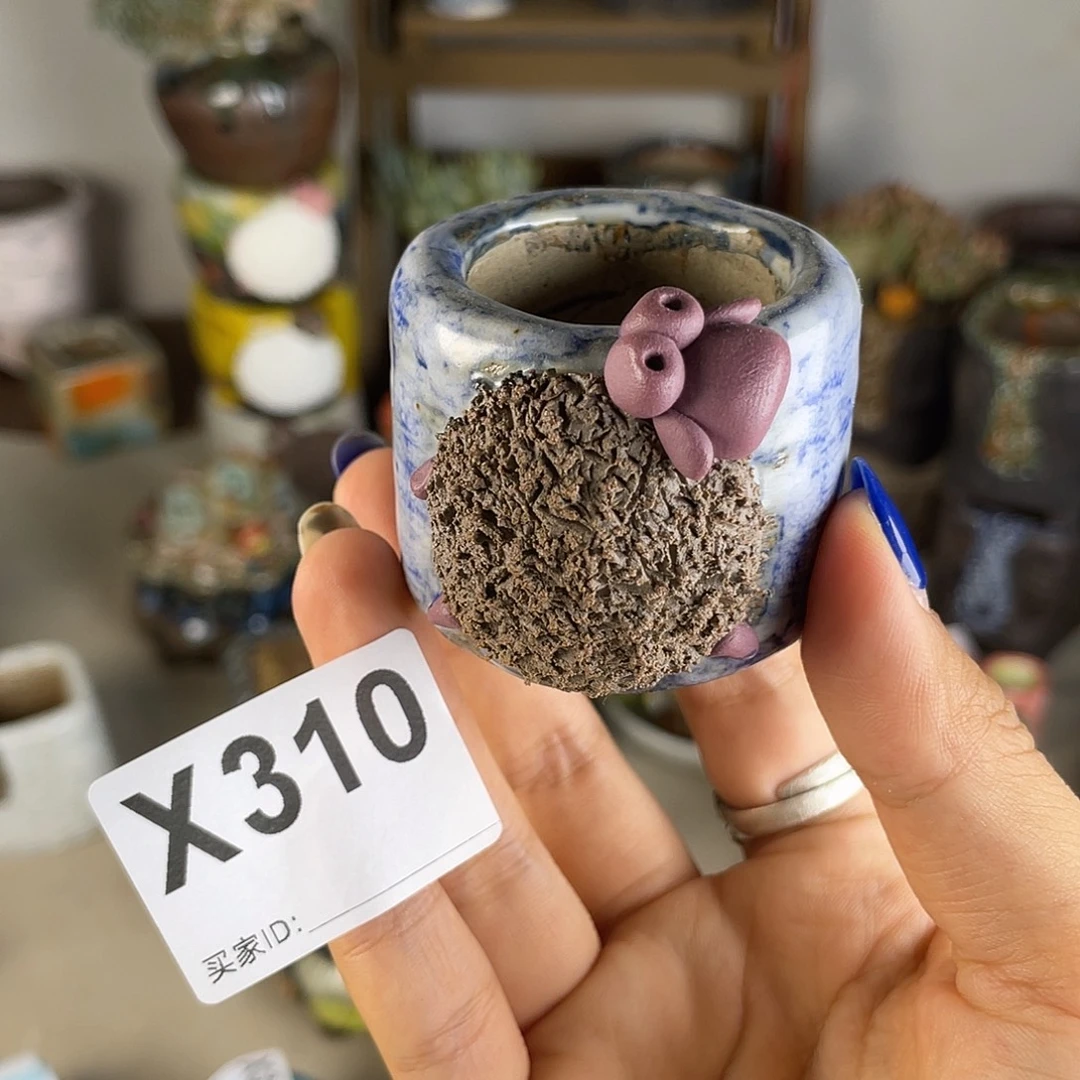 小白孤品 立体小羊 内口3.5 百搭