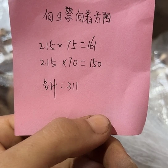 向***阳云南深山野生鸡枞炸油