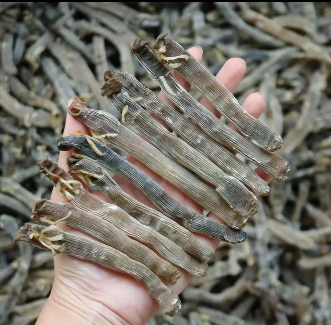 【马伍团】精选推荐黑沙虫干250g