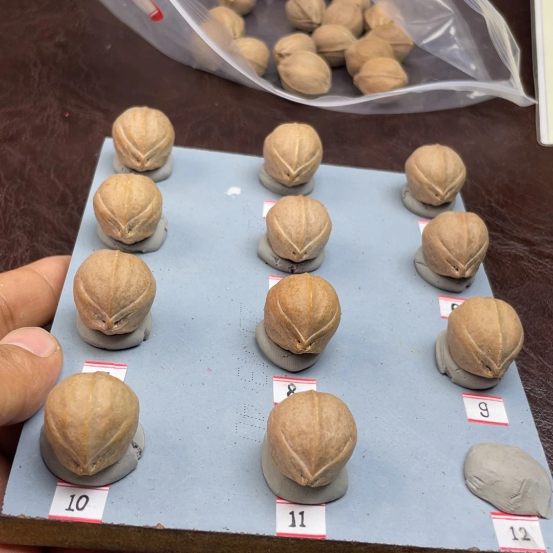 手串/手链橄榄核业****液22.26加籽