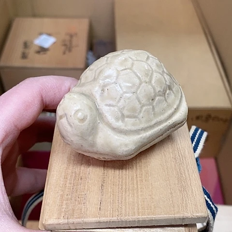 紫砂哈哈哈哈哈哈哈哈哈